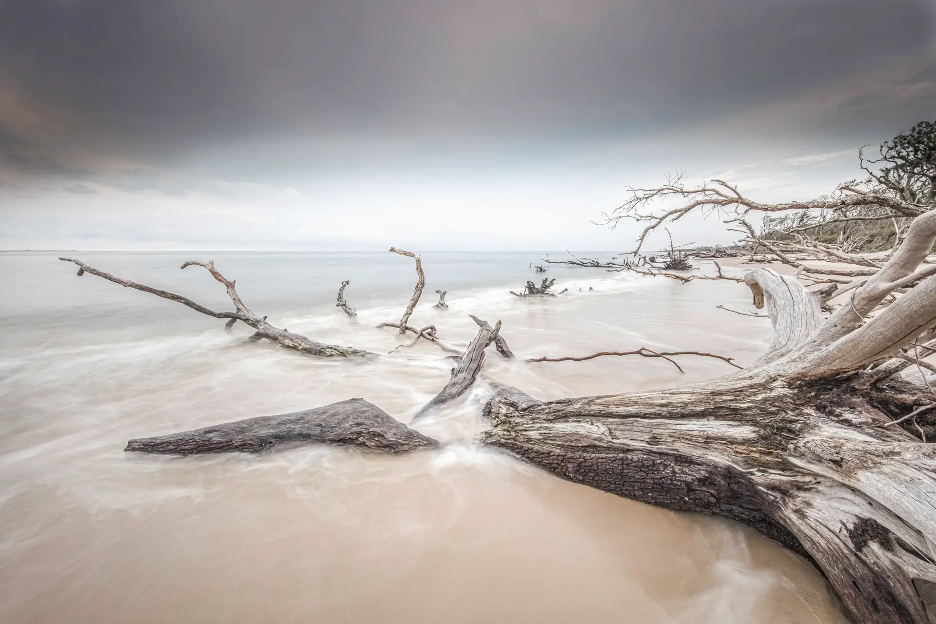 Driftwood on a serene beach