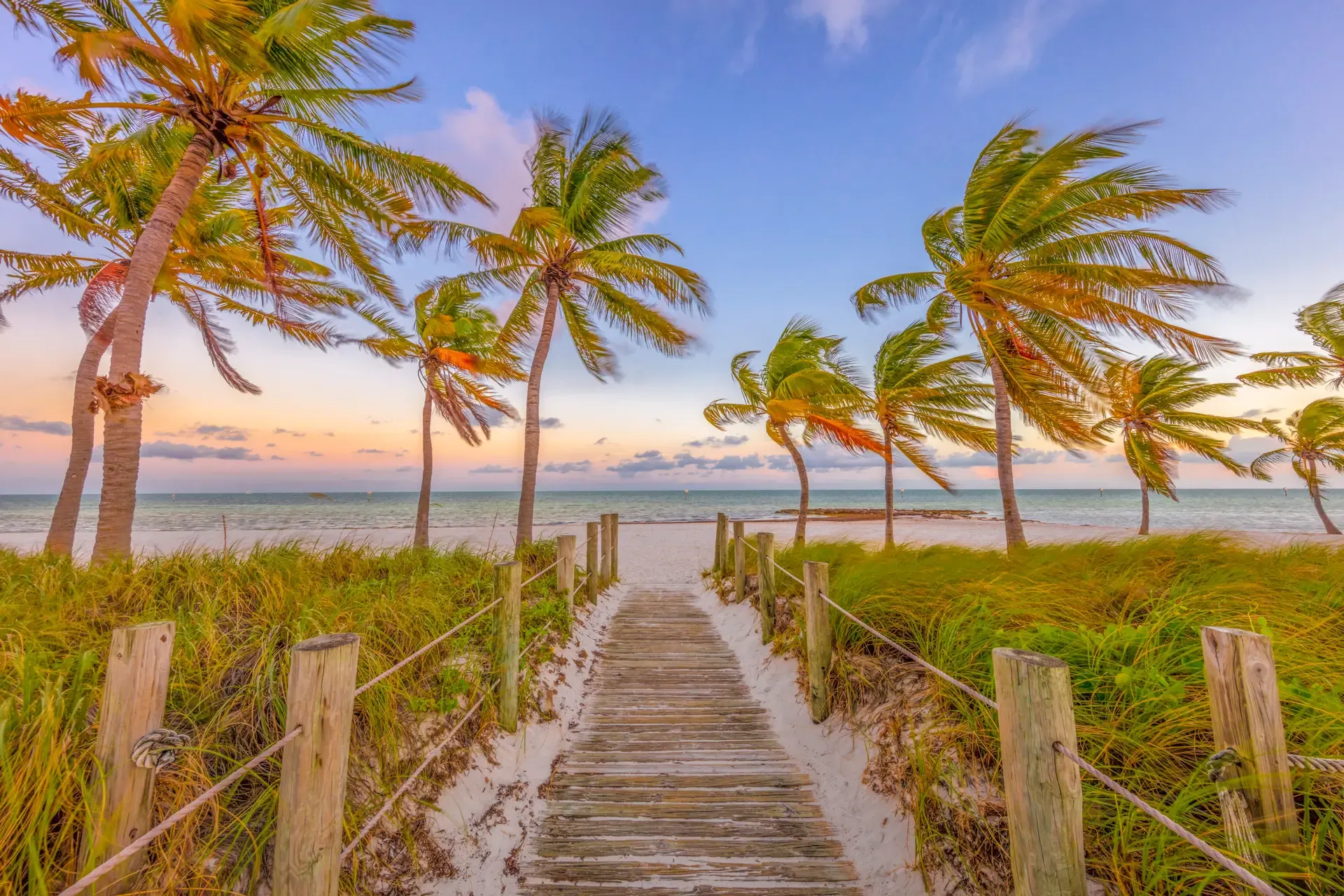 Tropical pathway leading to beach