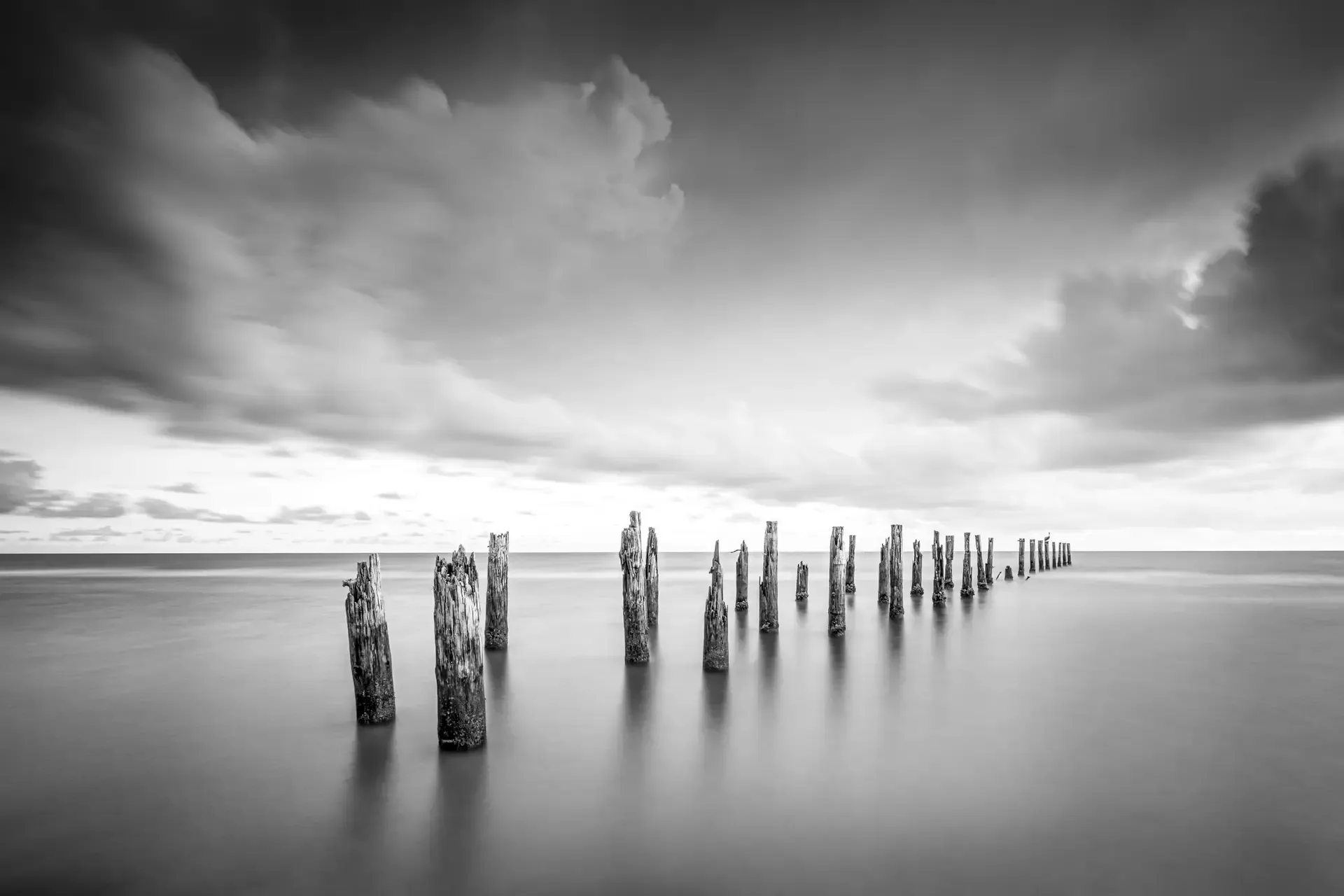 Old pilings in calm water