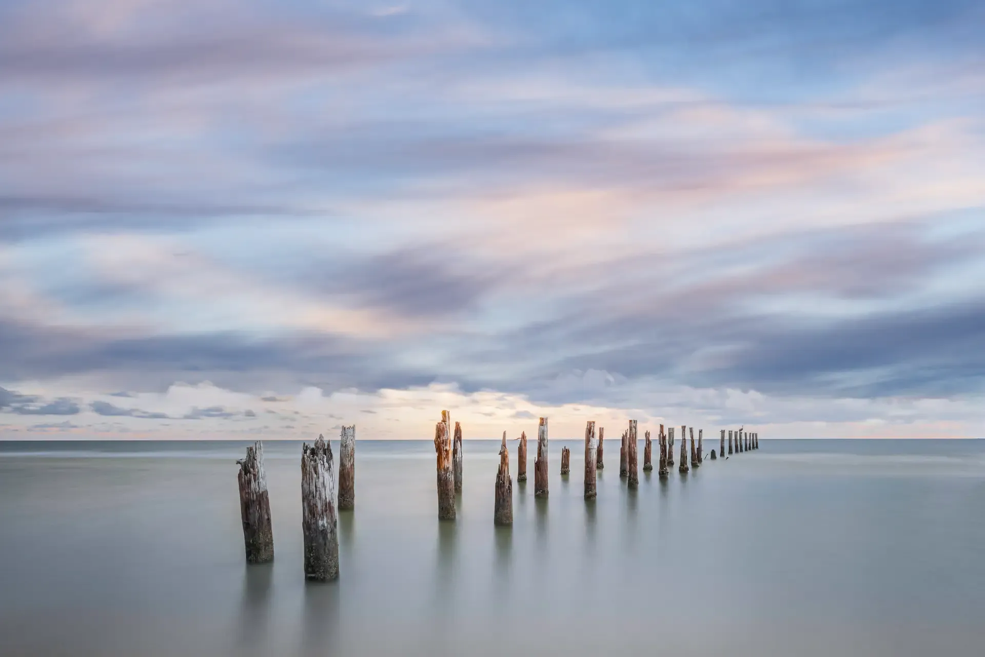 Weathered pilings in calm water