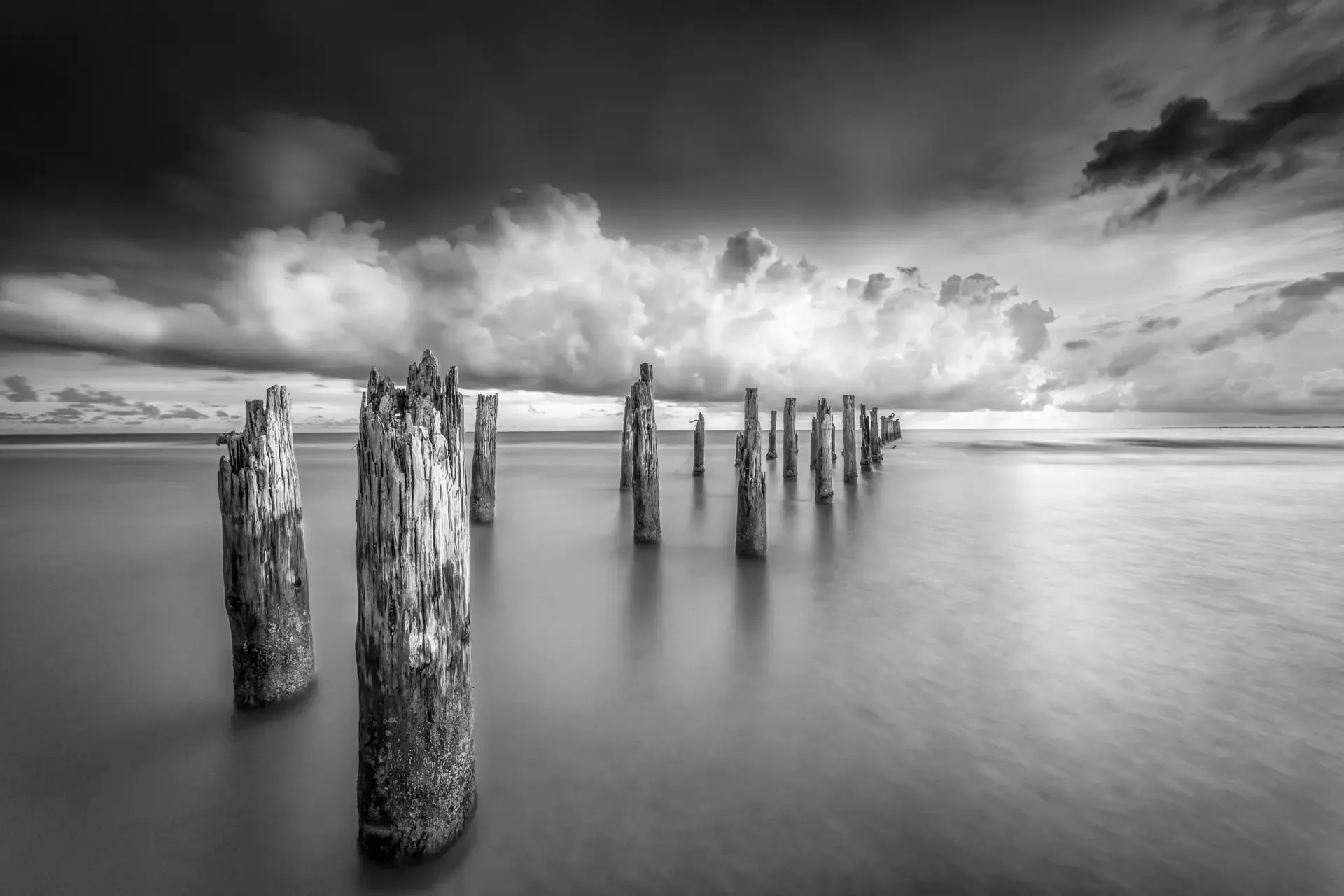 Weathered pilings in tranquil waters