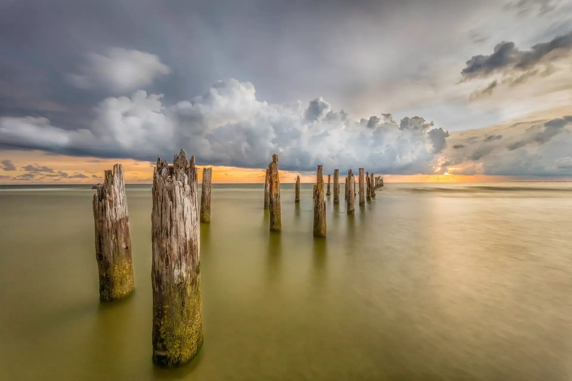 Old pier posts in calm water