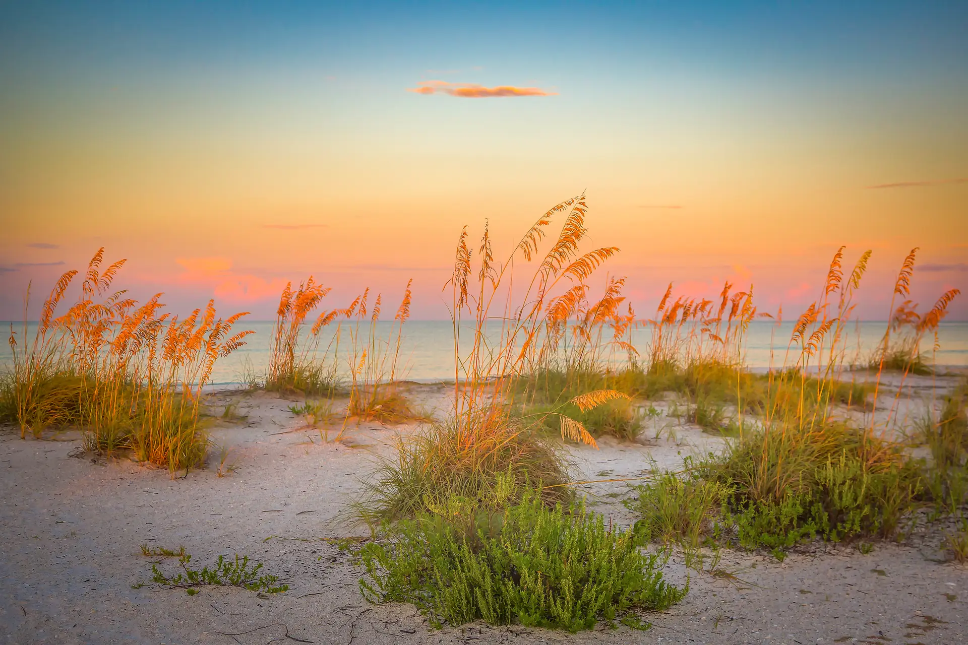 Sunrise over beach with grass