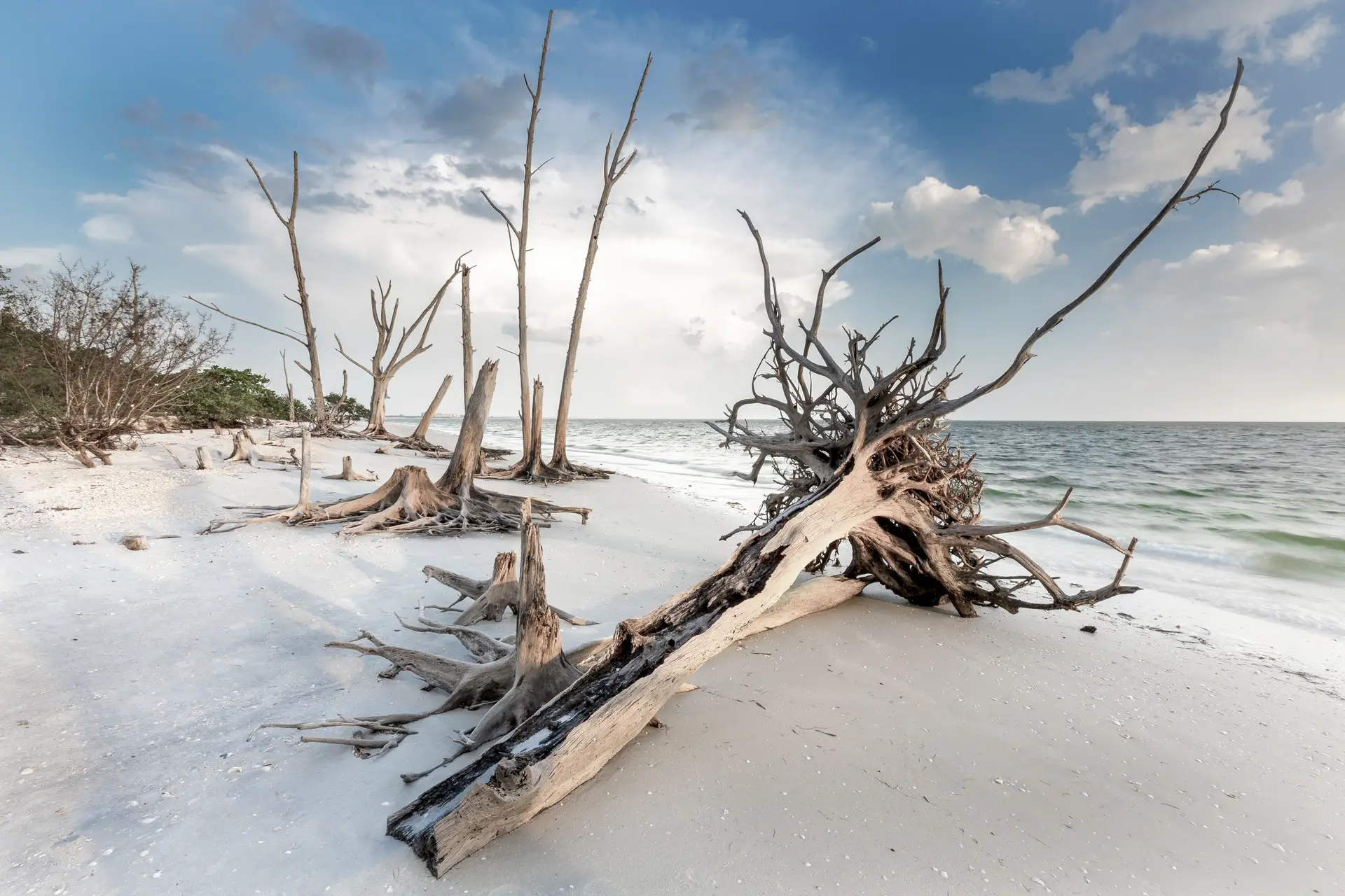 Barren beach with driftwood and clouds