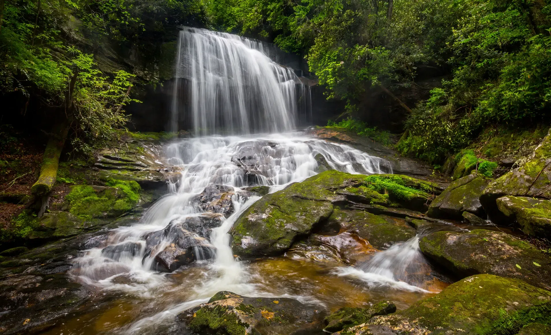 Serene waterfall surrounded by lush greenery.