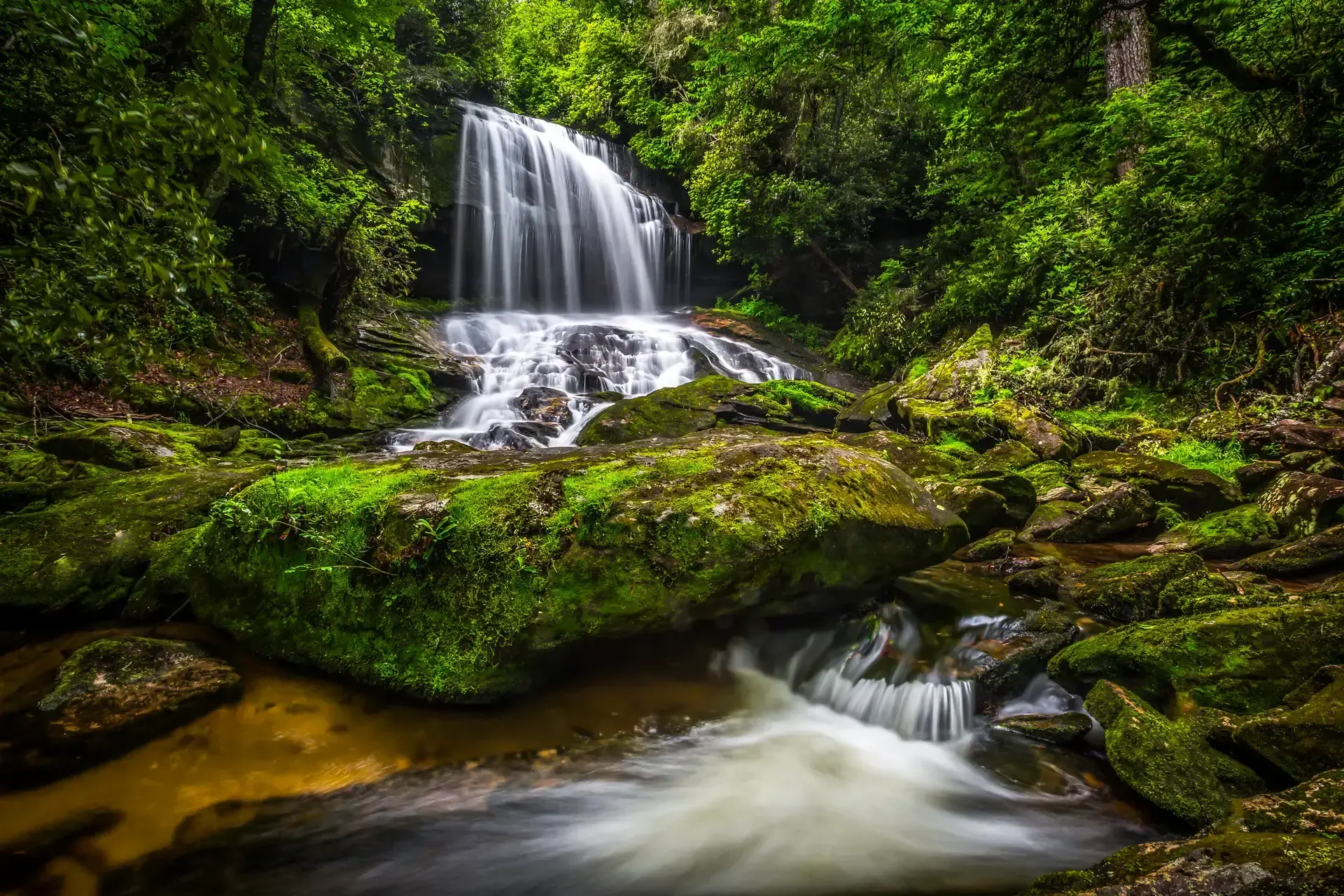 Lush waterfall surrounded by greenery.