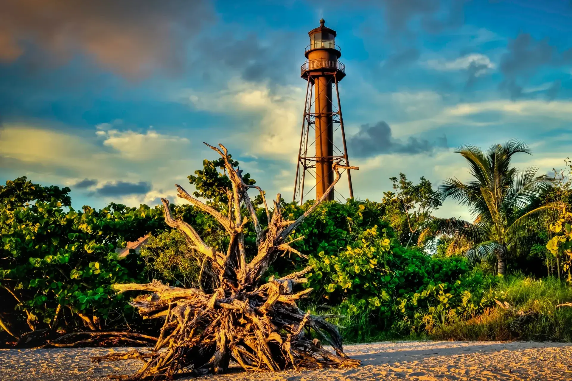 Lighthouse behind driftwood and foliage.