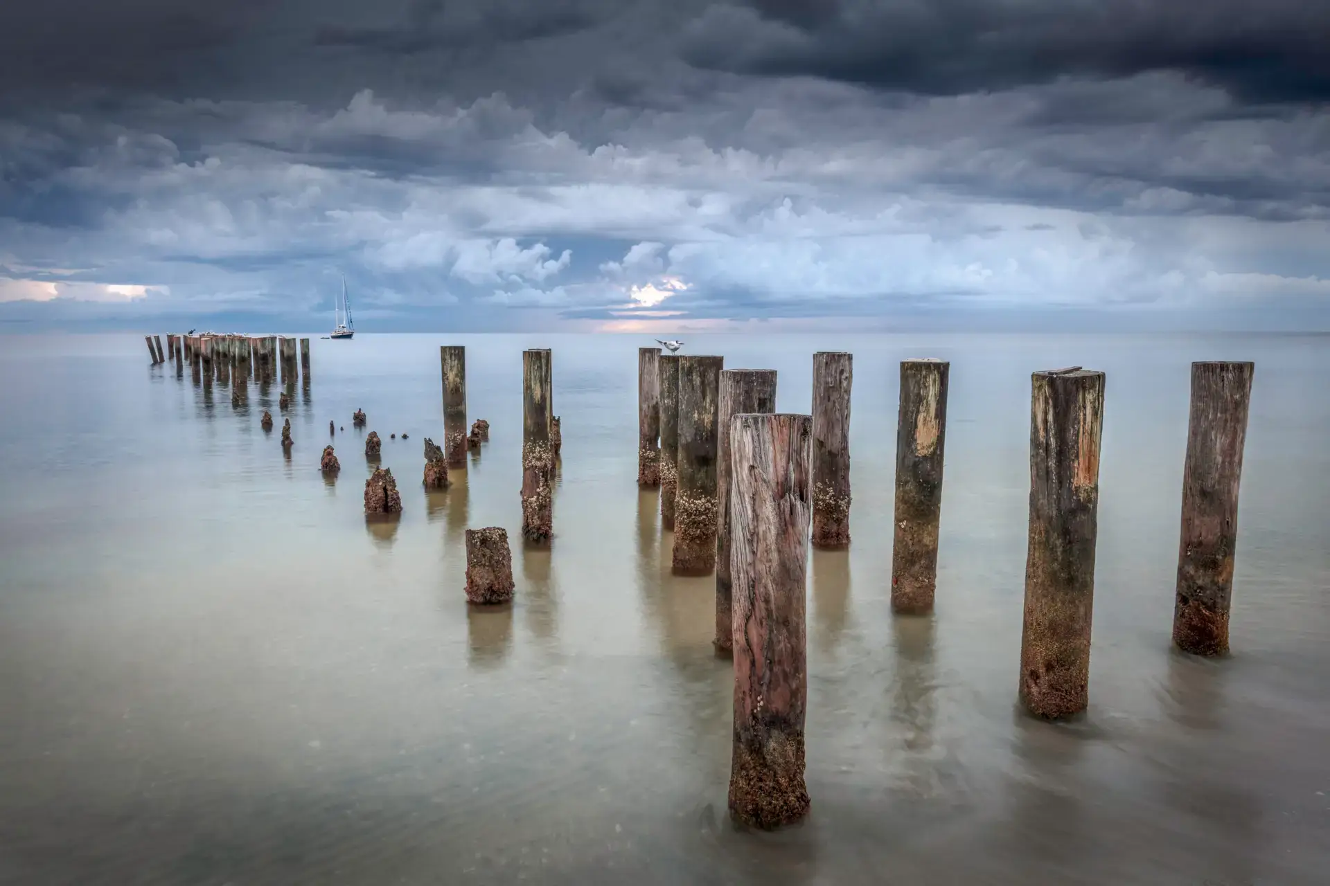 Weathered posts in calm water