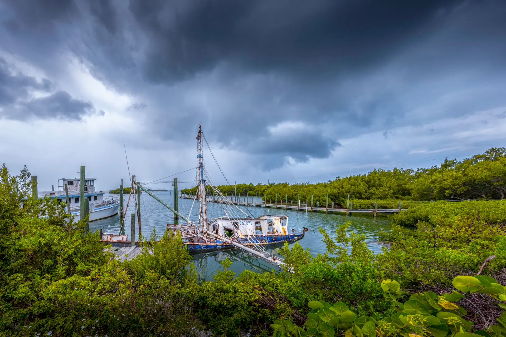 Abandoned boat in lush mangrove setting