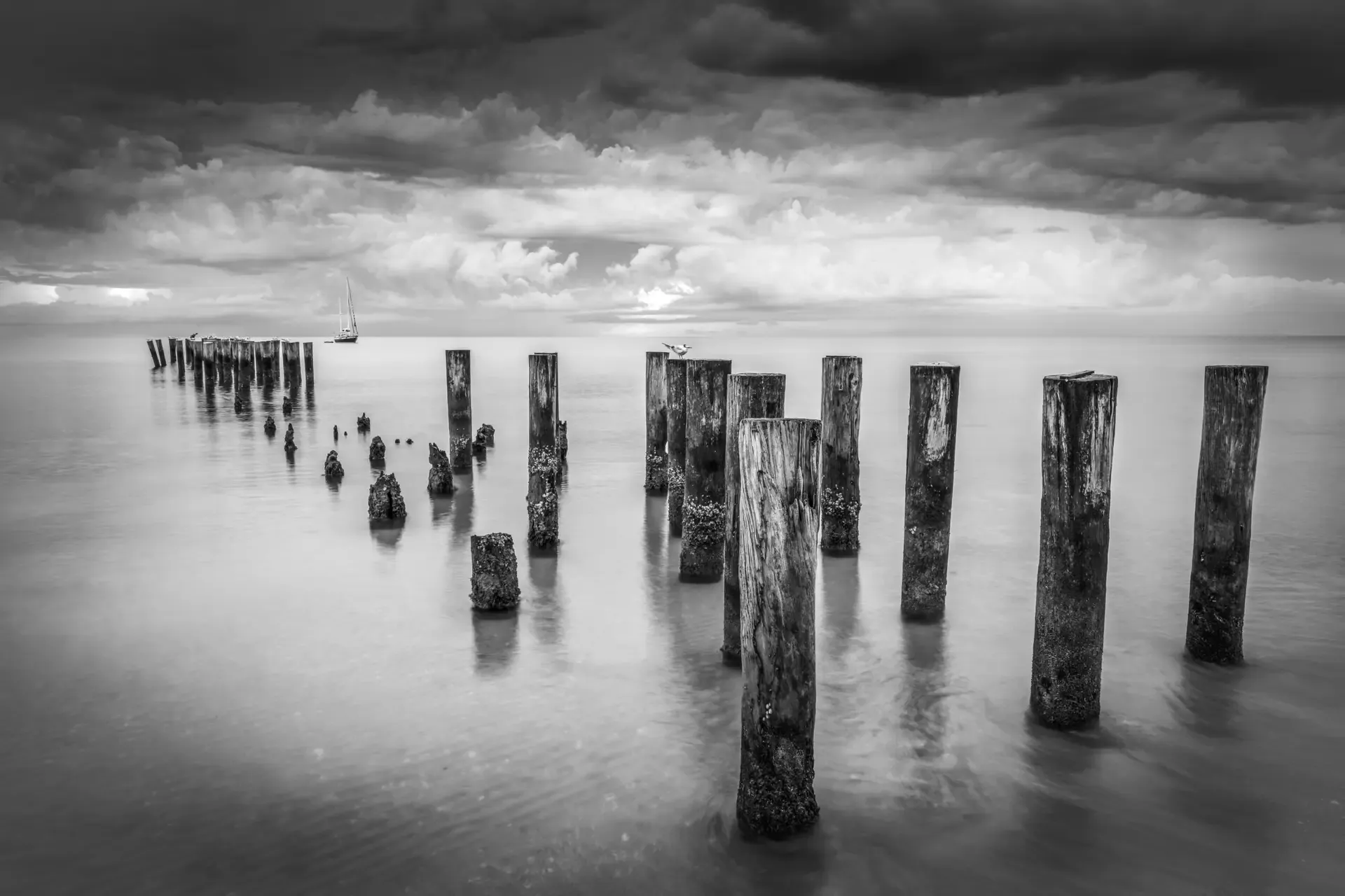 Black and white photo of weathered wooden posts in calm water under a cloudy sky.