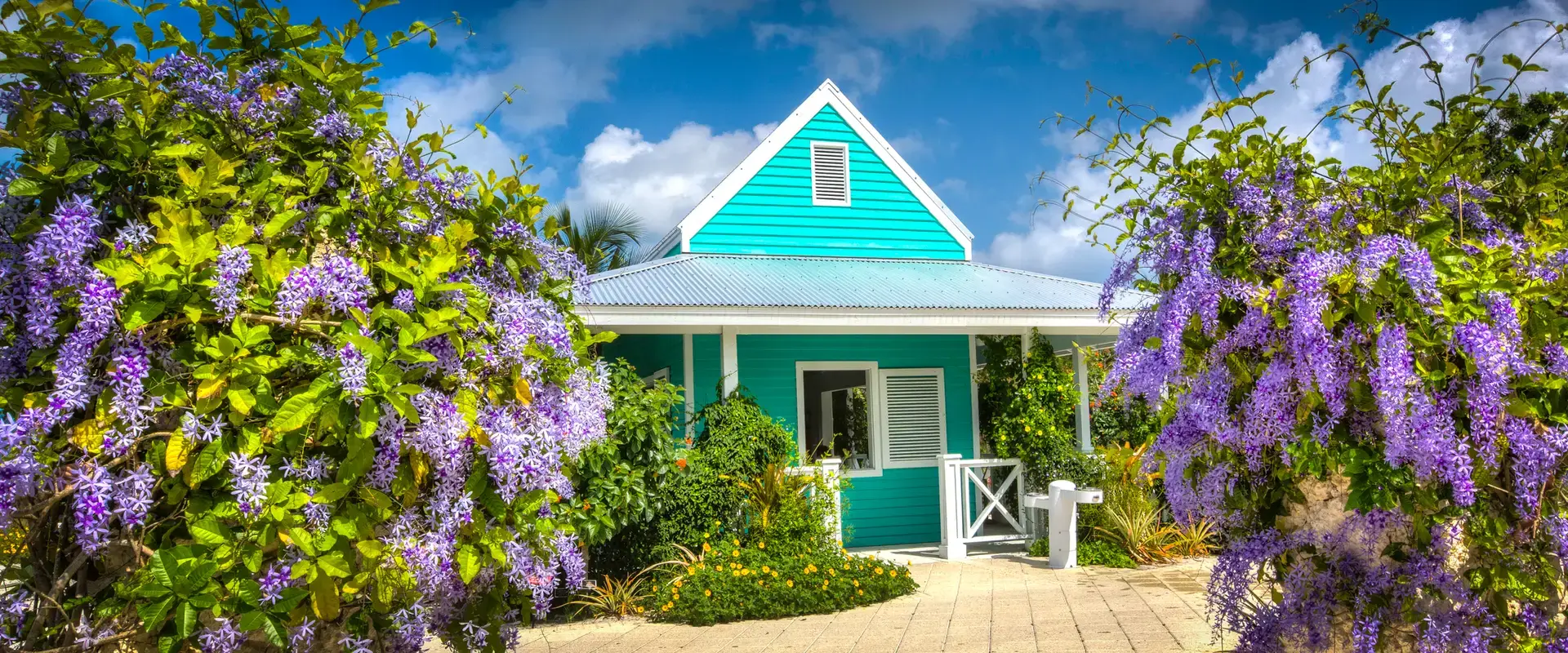 A bright turquoise house with white trim surrounded by lush greenery and flowering plants.