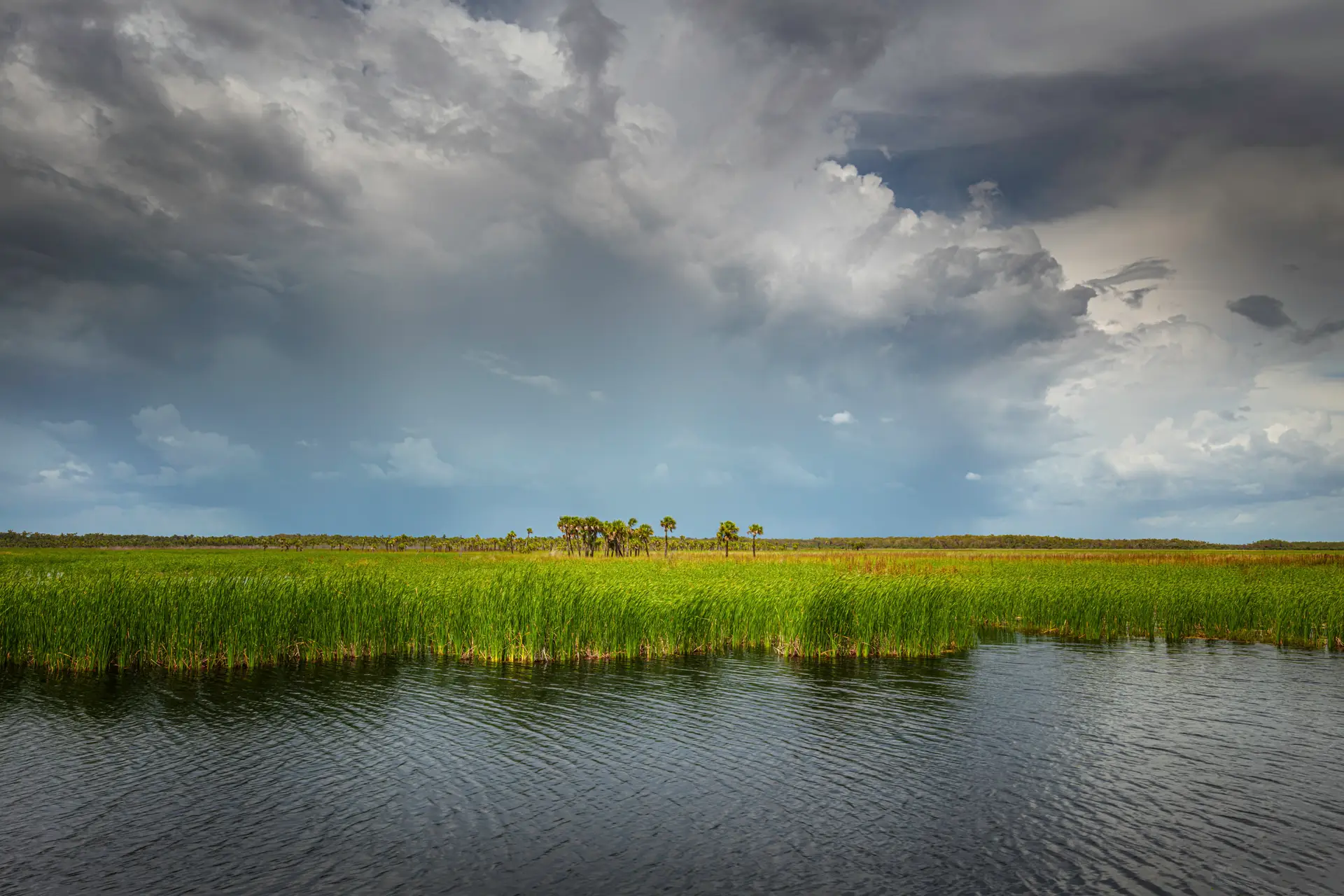 Lush wetlands under dramatic cloudy sky