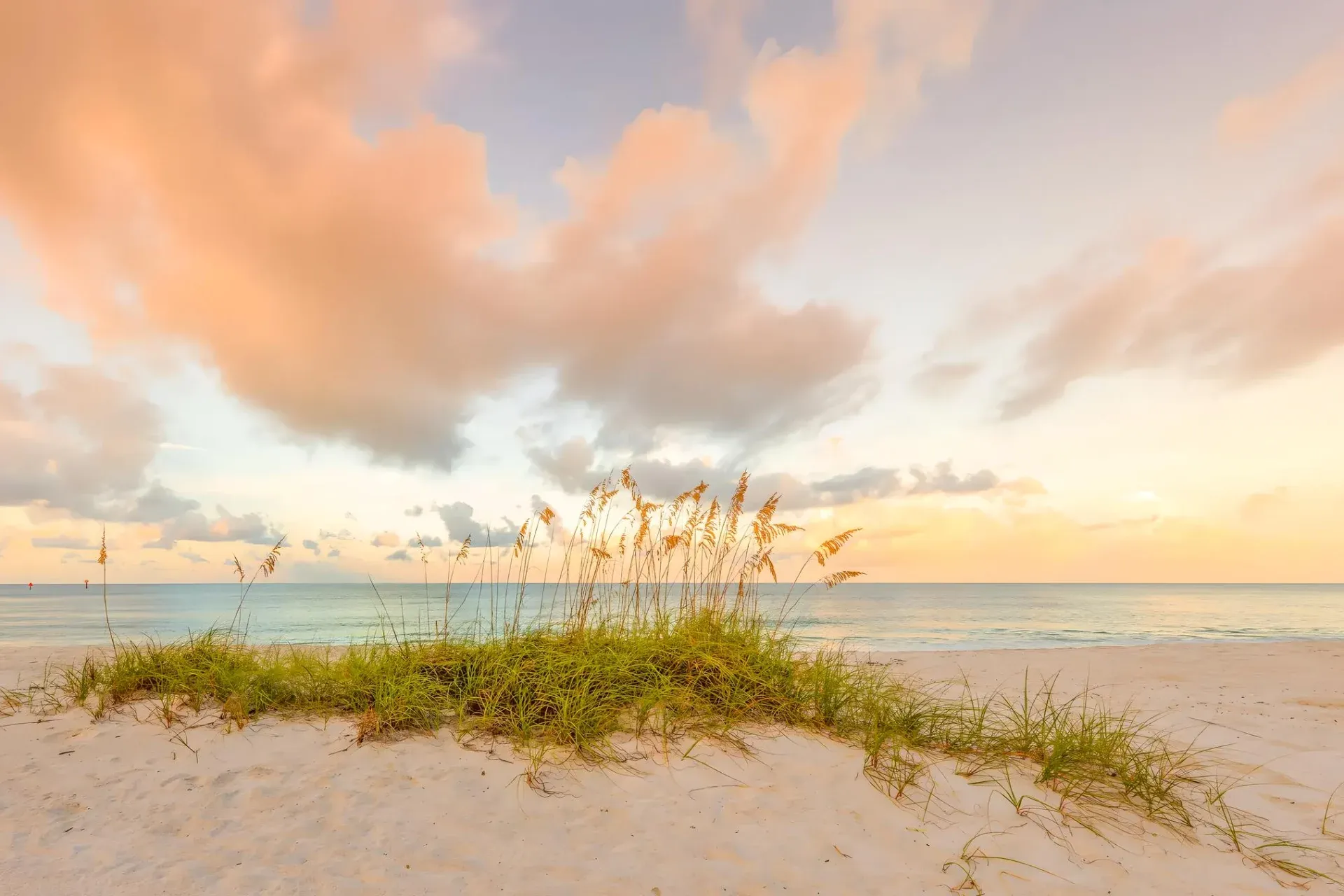 Serene beach at sunset with grass