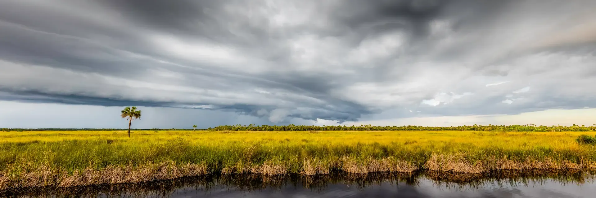 Dark clouds over golden marshland