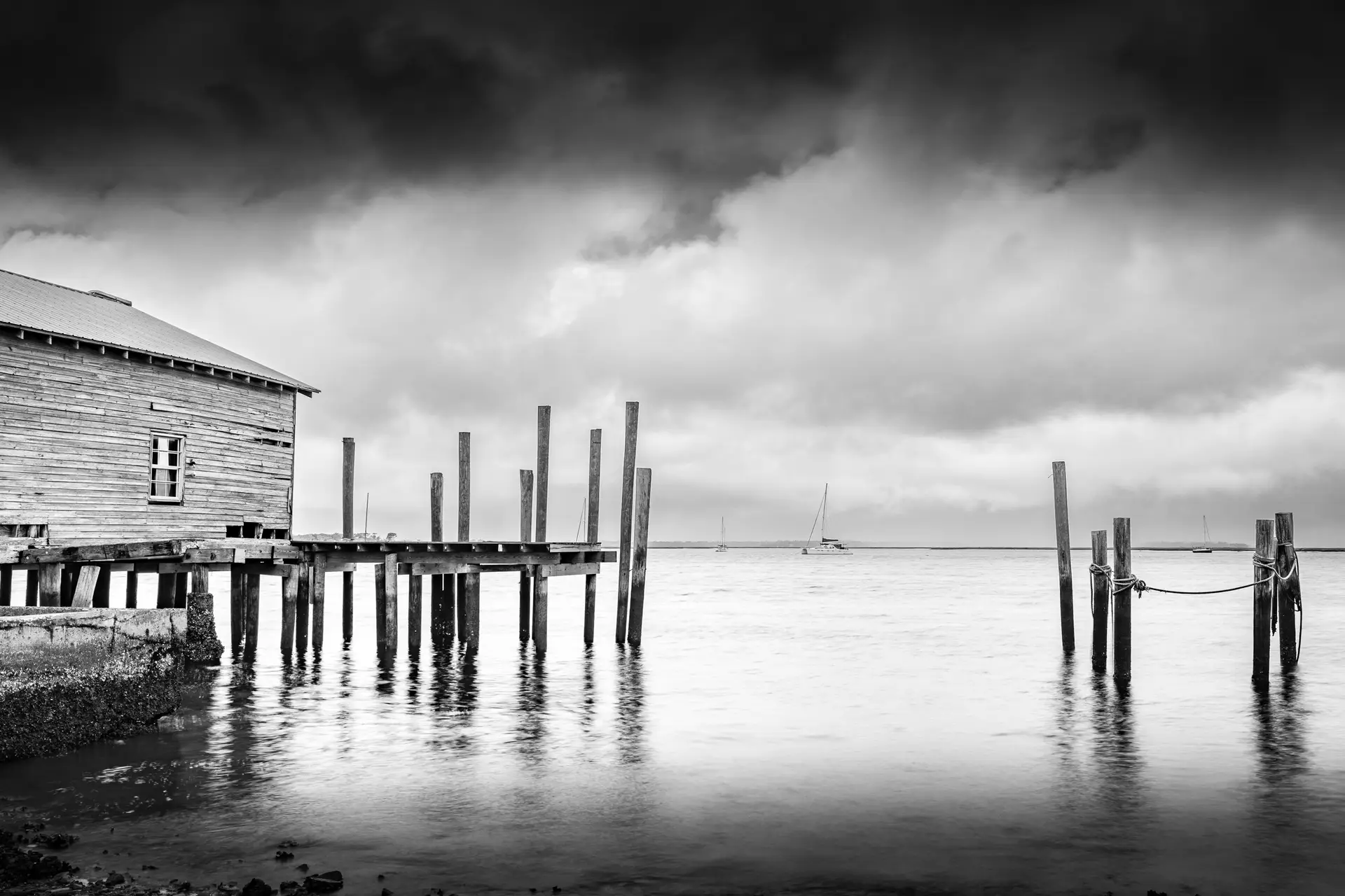 Black and white coastal landscape