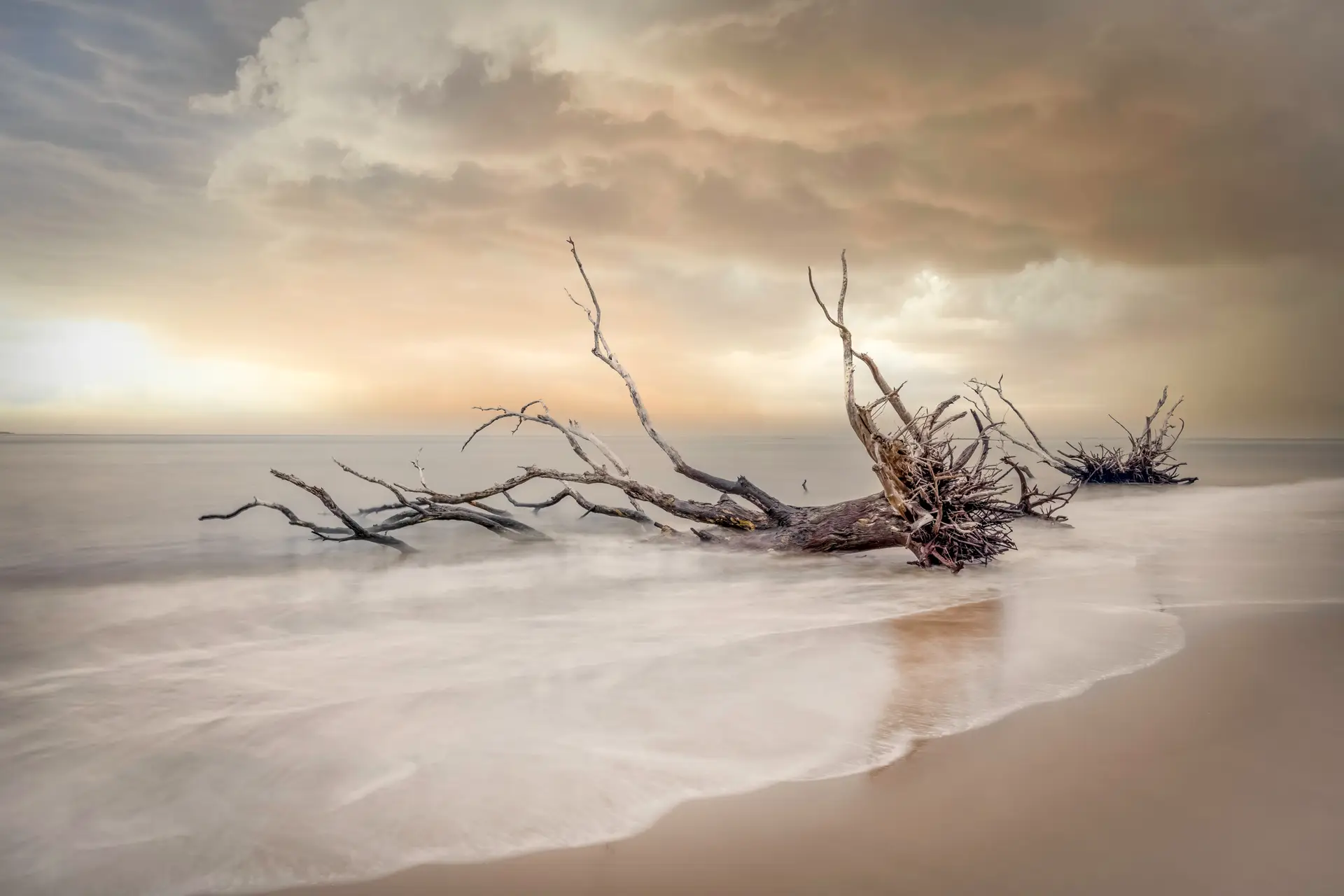 Driftwood on beach with storm clouds