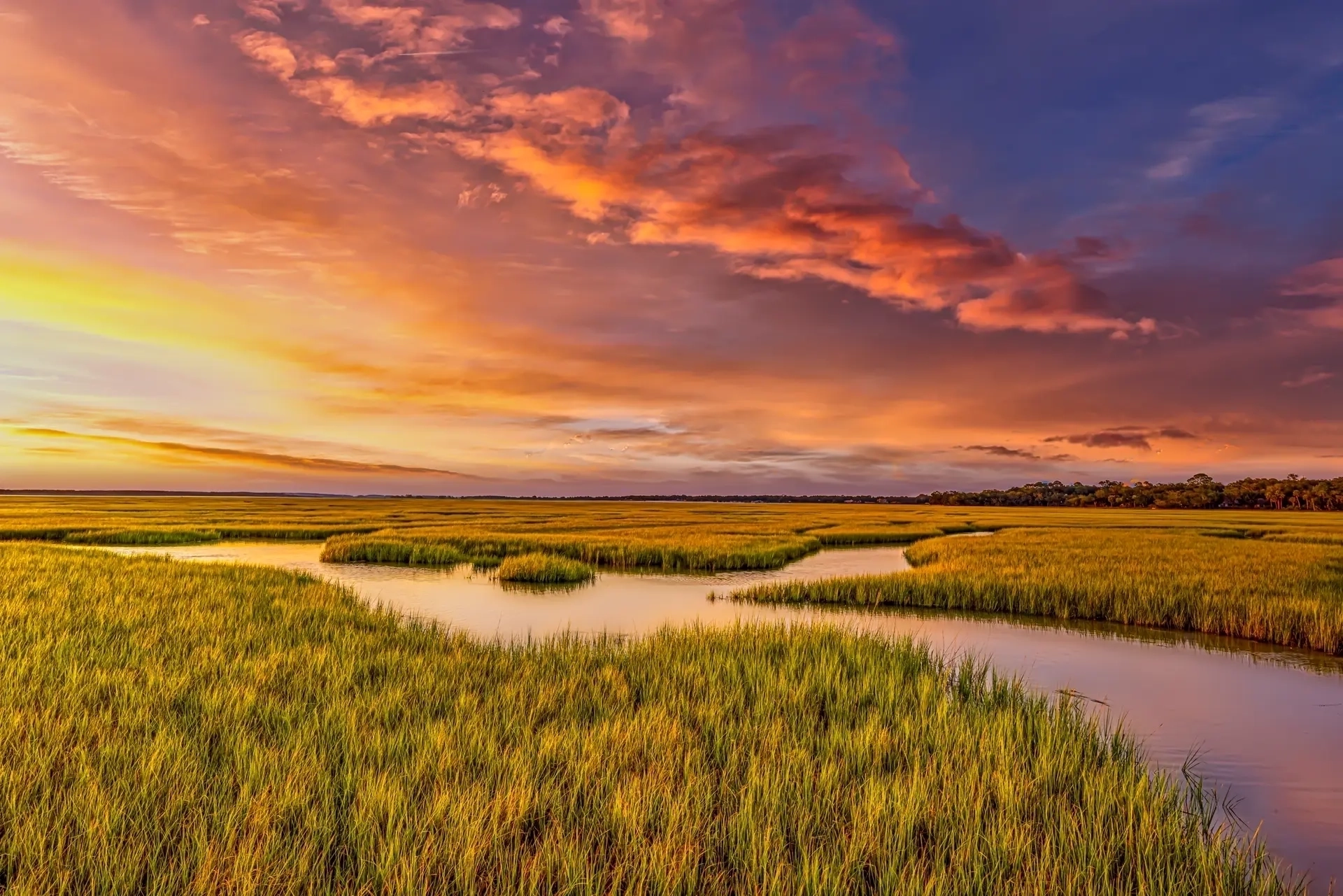 Vibrant sunset over marshy landscape