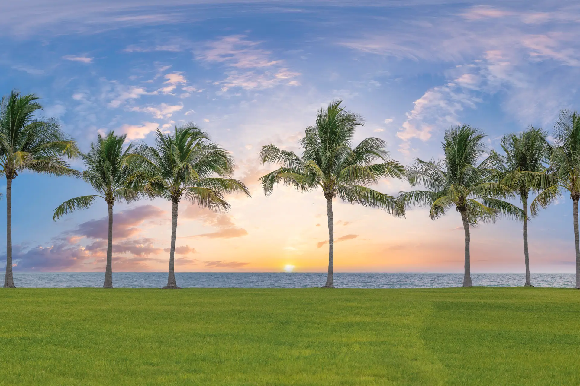 Sunset over palm tree lined beach