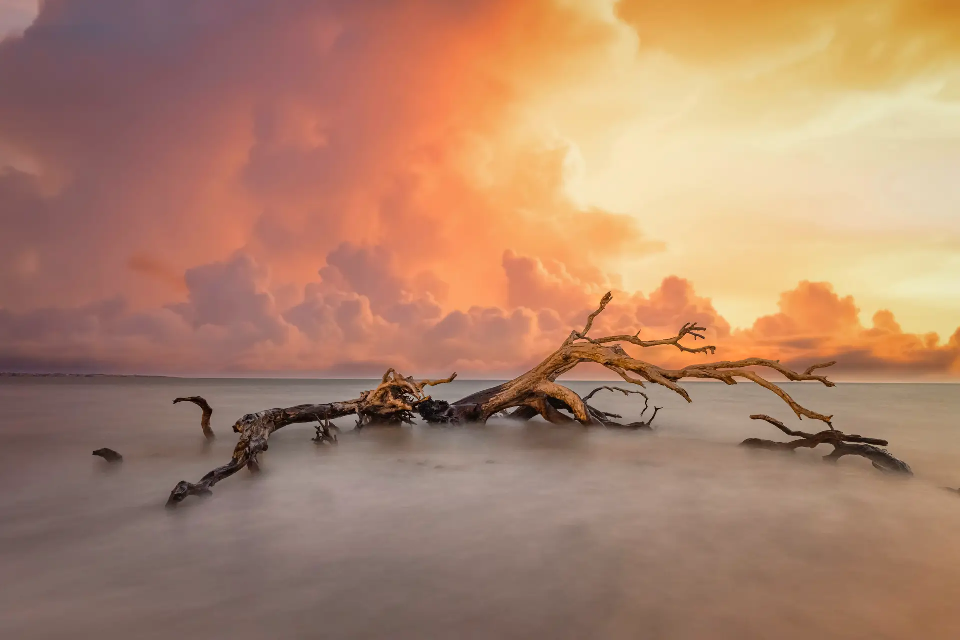 Sunset over calm water and driftwood