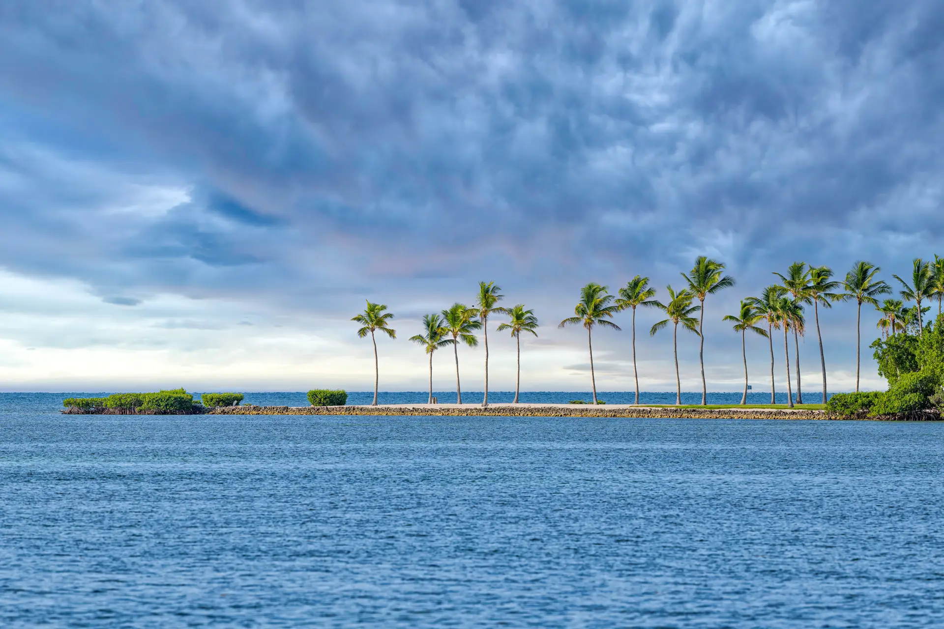 Palm trees by tranquil blue water