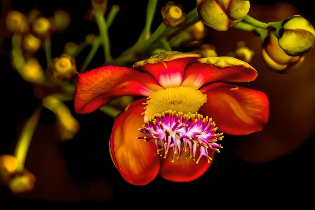 Vibrant flower with intricate details