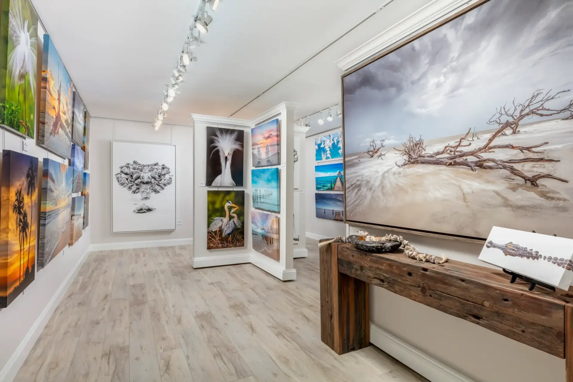 Modern art gallery with various paintings and photographs displayed.