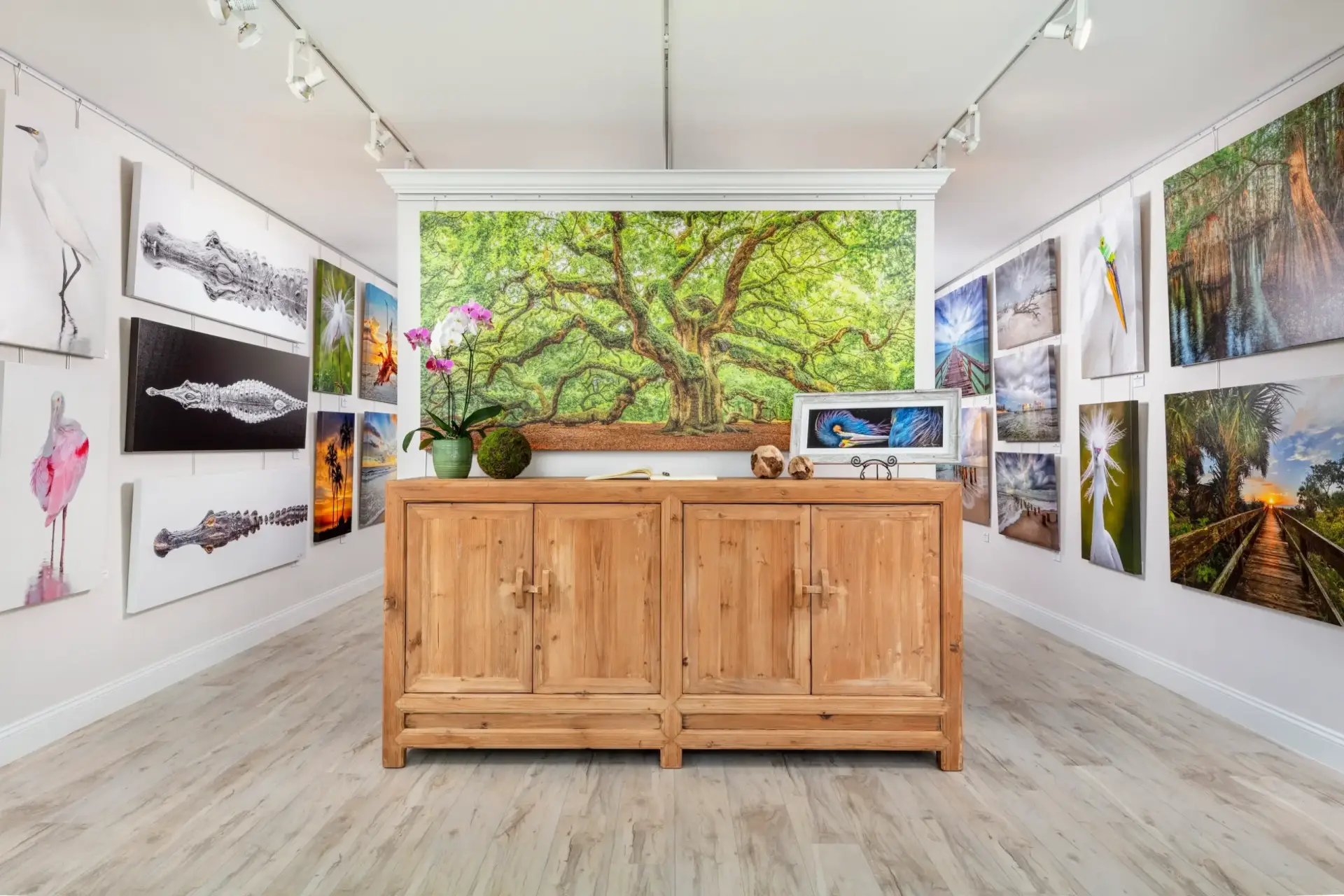 Modern art gallery with nature-inspired artwork and wooden furniture.