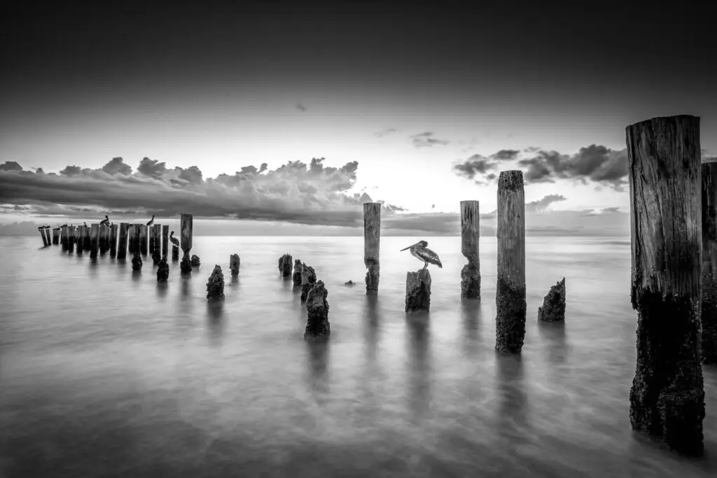 Black and white pier at sunset