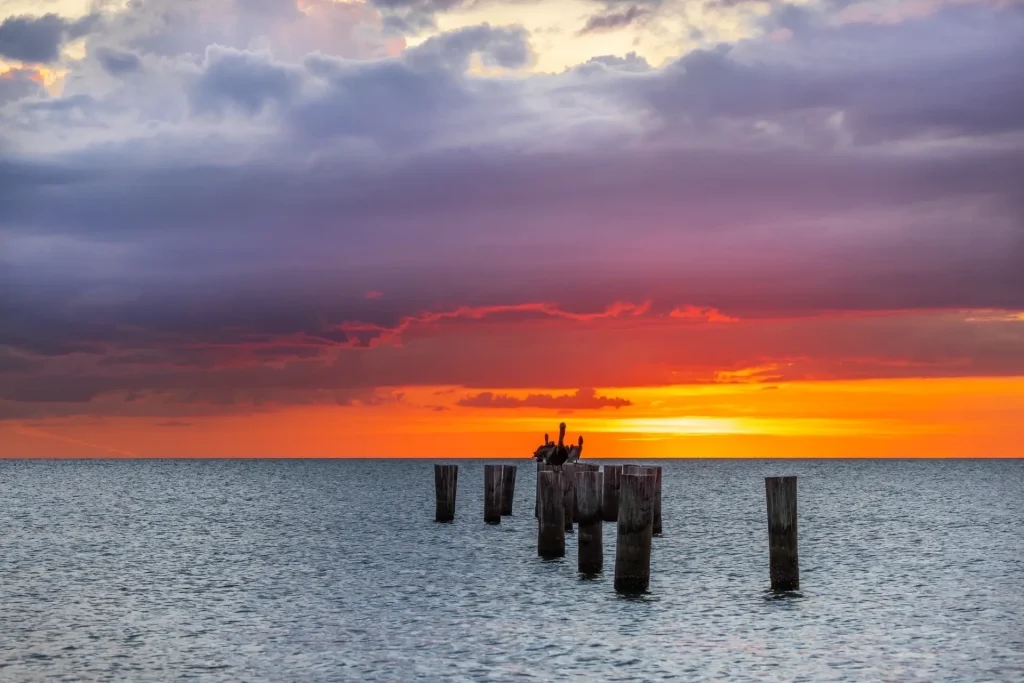 Sunset over water with pilings