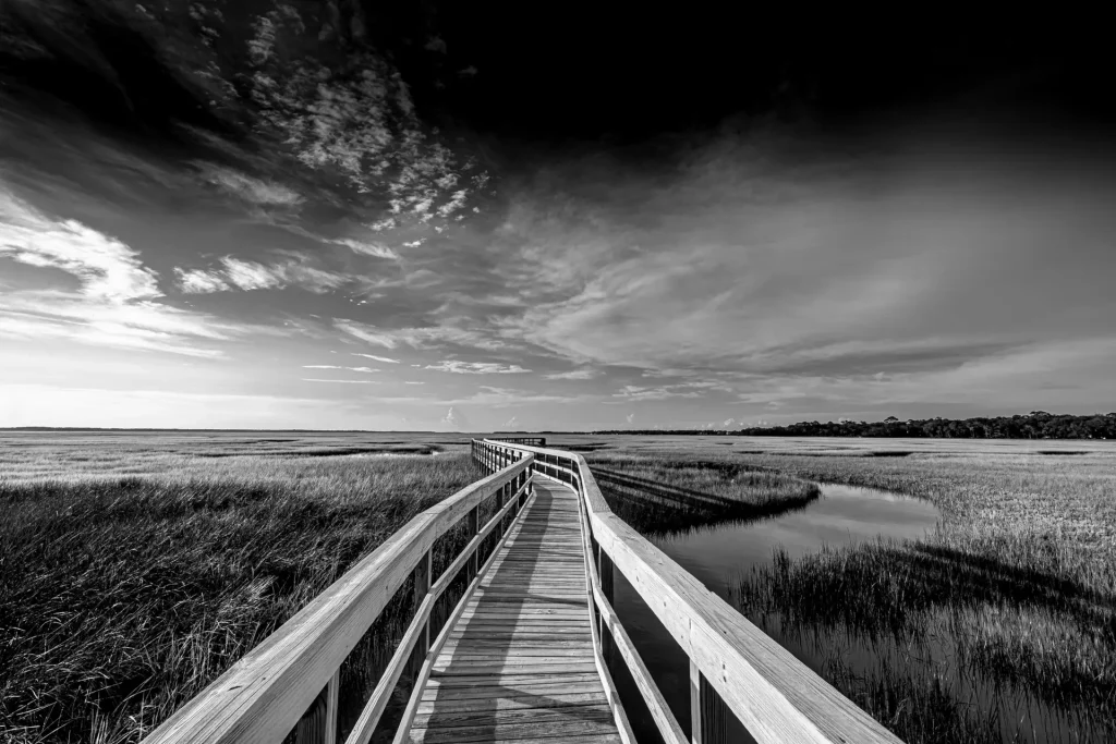 Wooden walkway through marshland scenery