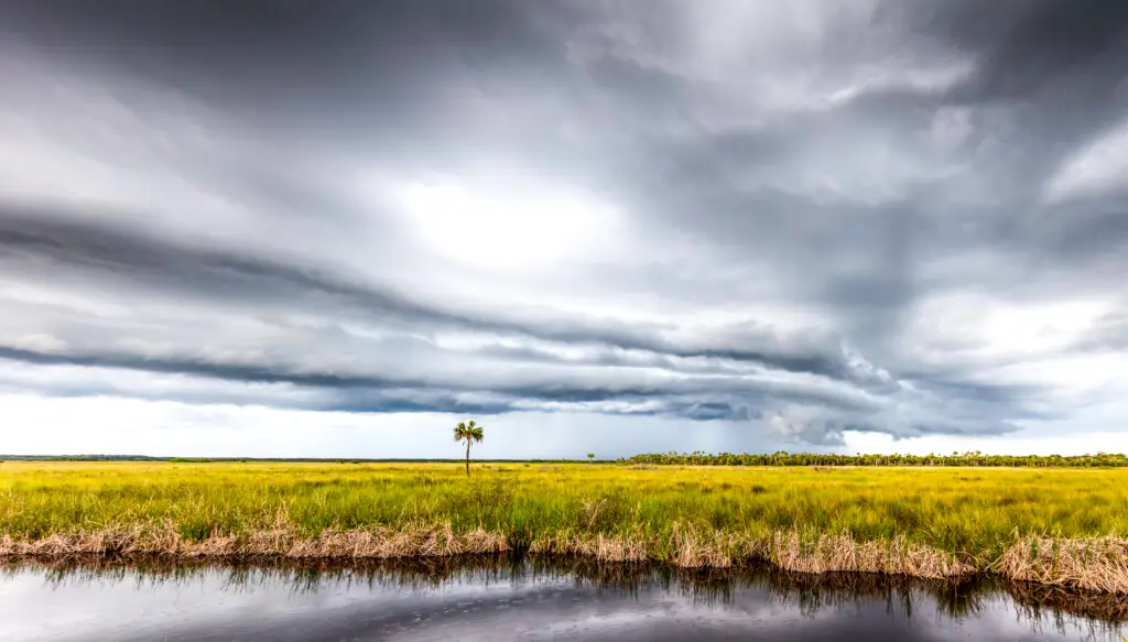 Stormy skies over lush wetlands