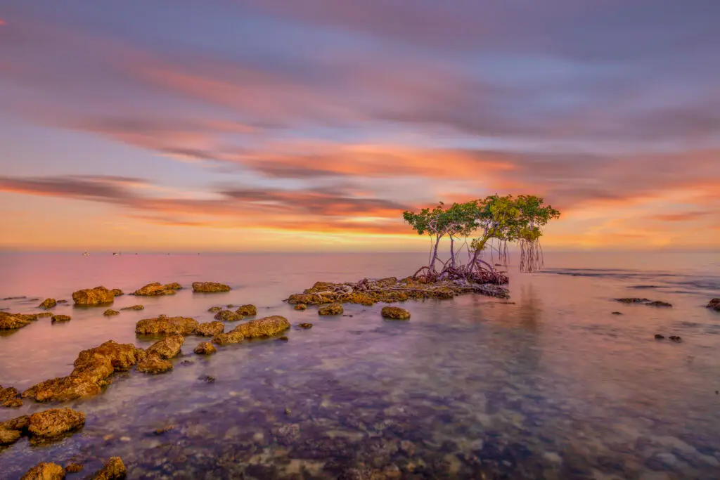 Serene sunset over calm waters.