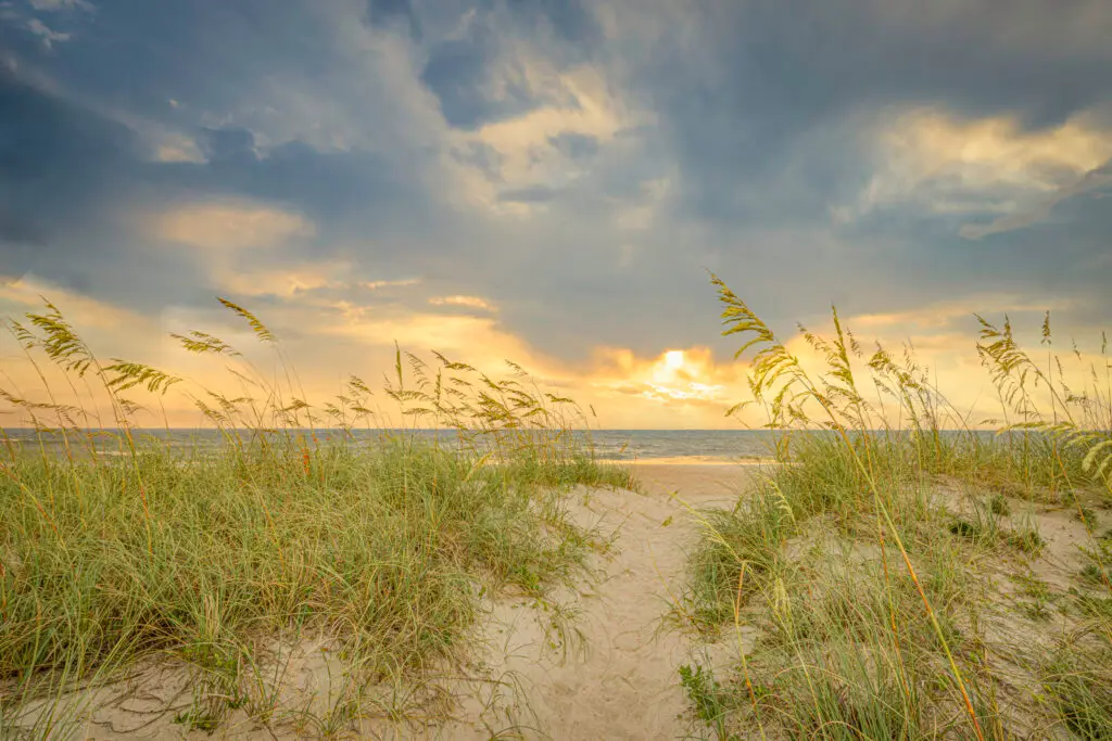 Sunset over beach with grass