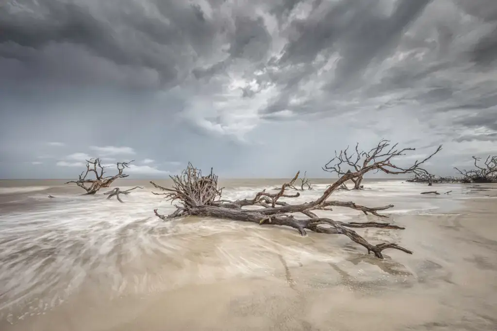 Stormy beach with driftwood and waves