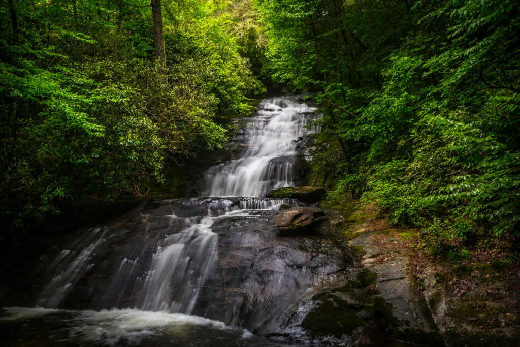 Serene waterfall in lush green forest