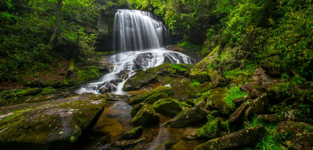 Serene waterfall in lush greenery.