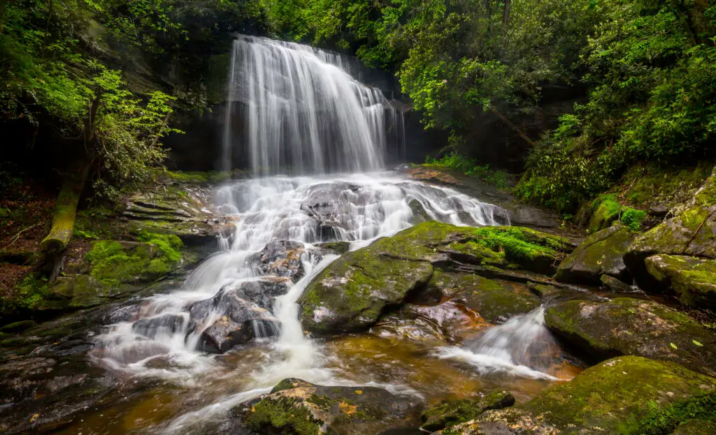 Serene waterfall surrounded by lush greenery.
