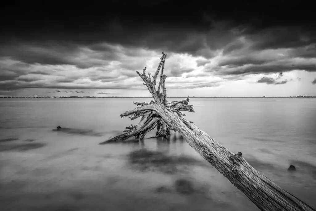 Lonely driftwood against stormy sky