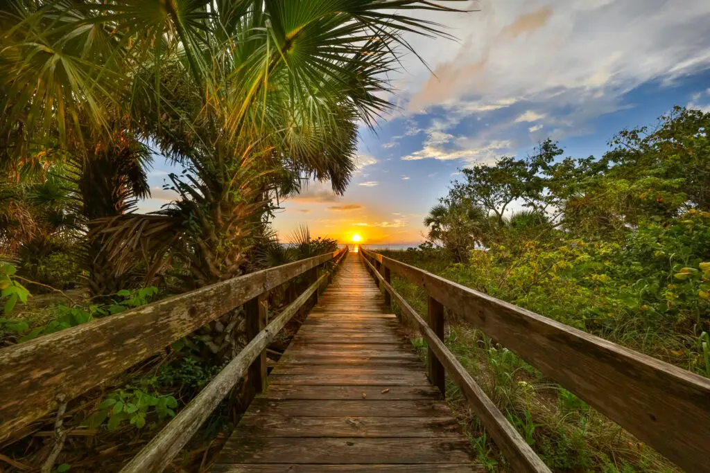 Wooden path leading to sunset