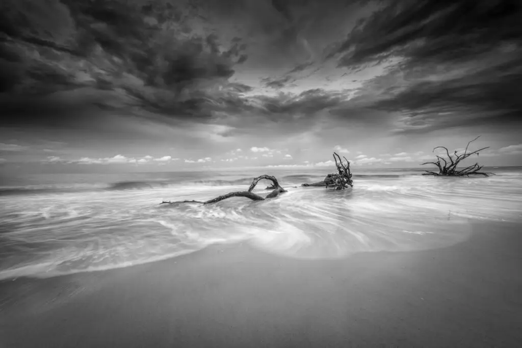 Black and white beach with driftwood.