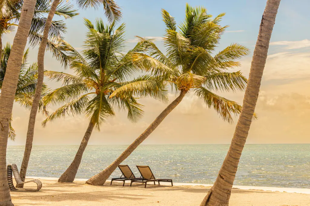 Florida Keys Life