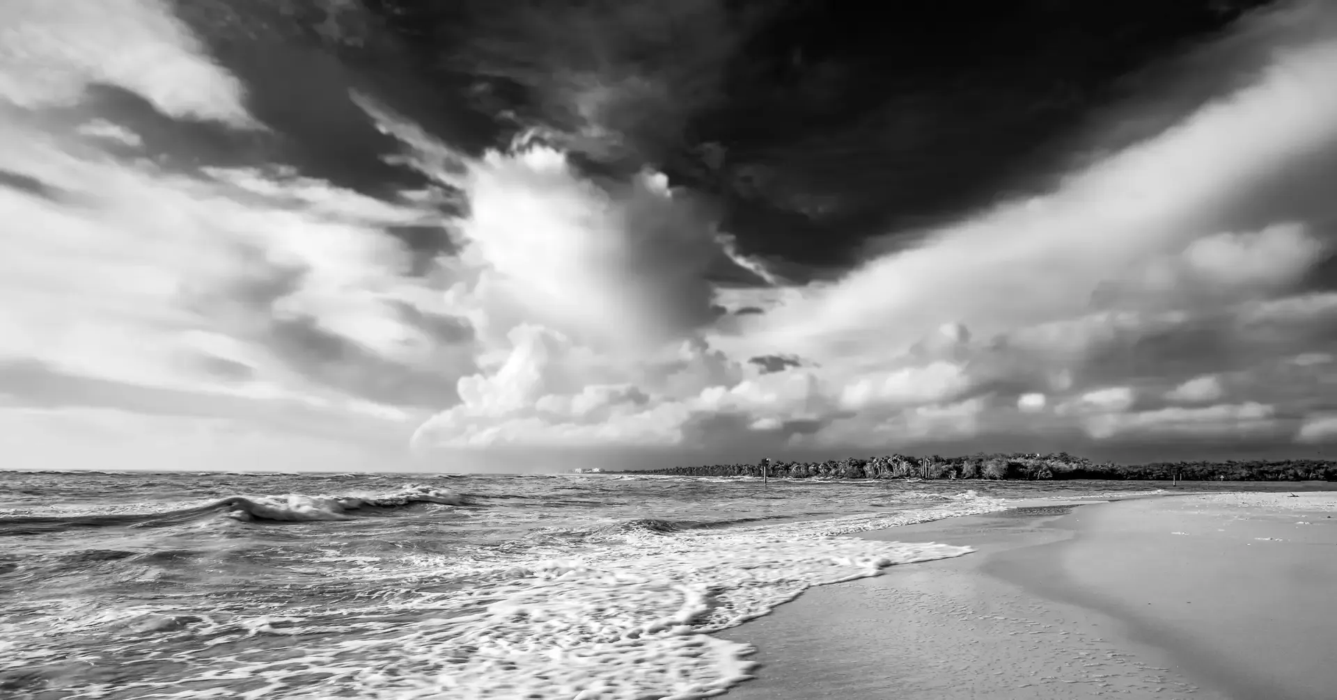 Black and white beach landscape.